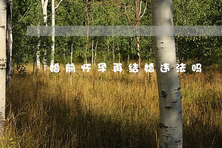 婚前怀孕再结婚违法吗 婚前怀孕再结婚违法吗