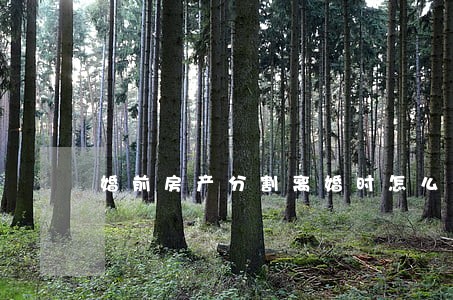 婚前房产分割离婚时怎么分 婚前房产分割离婚时怎么分