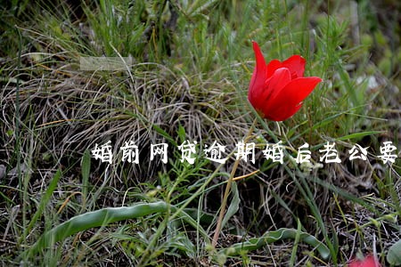 婚前网贷逾期婚后老公要还 婚前网贷逾期婚后老公要还
