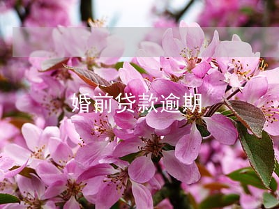 婚前贷款逾期 婚前贷款逾期
