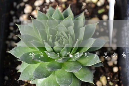 婚后20年没财产怎么离婚 婚后20年没财产怎么离婚