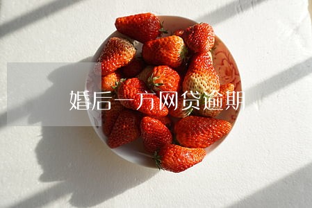 婚后一方网贷逾期