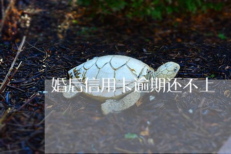 婚后信用卡逾期还不上 婚后信用卡逾期还不上