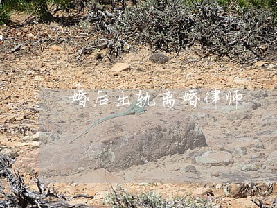 婚后出轨离婚律师 婚后出轨离婚律师