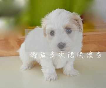 婚后多次隐瞒债务可以起诉离婚吗 婚后多次隐瞒债务可以起诉离婚吗