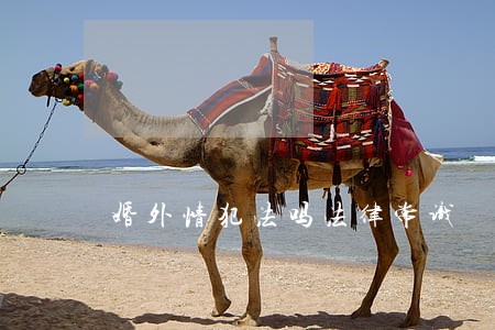 婚外情犯法吗法律常识 婚外情犯法吗法律常识