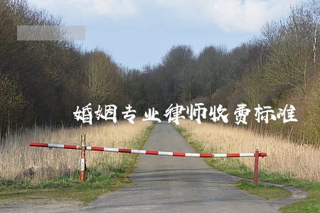 婚姻专业律师收费标准 婚姻专业律师收费标准