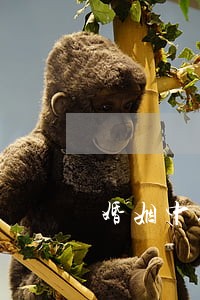 婚姻中经常说离婚的男人 婚姻中经常说离婚的男人