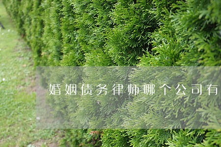 婚姻债务律师哪个公司有名