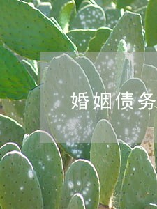 婚姻债务律师哪个服务好 婚姻债务律师哪个服务好