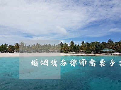 婚姻债务律师需要多少钱 婚姻债务律师需要多少钱