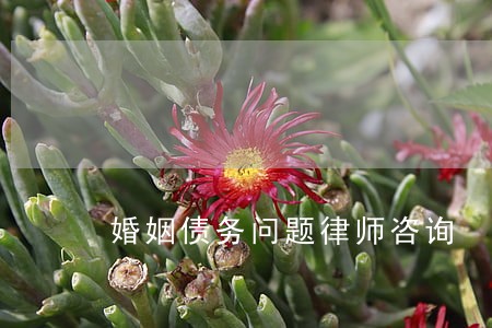 婚姻债务问题律师咨询 婚姻债务问题律师咨询