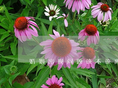 婚姻出现问题该不该离婚呢 婚姻出现问题该不该离婚呢