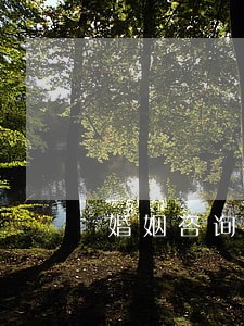 婚姻咨询律师在线咨询 婚姻咨询律师在线咨询