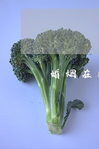 婚姻在线律师免费咨询 婚姻在线律师免费咨询