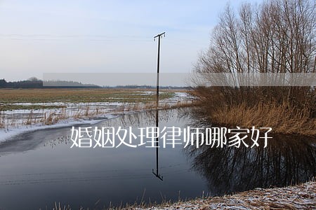 婚姻处理律师哪家好 婚姻处理律师哪家好