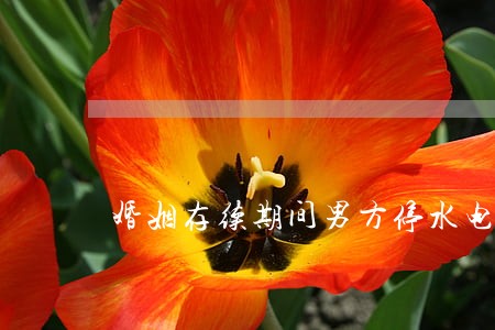婚姻存续期间男方停水电气违法吗