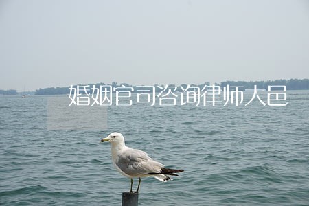 婚姻官司咨询律师大邑 婚姻官司咨询律师大邑