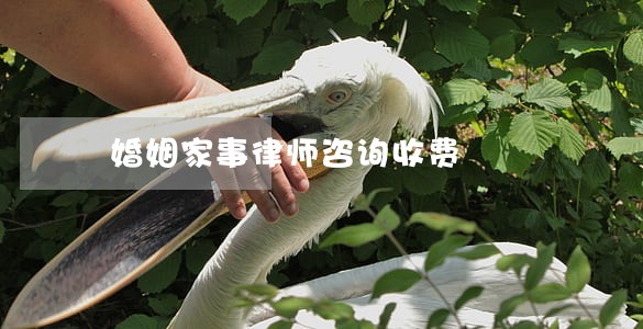 婚姻家事律师咨询收费 婚姻家事律师咨询收费
