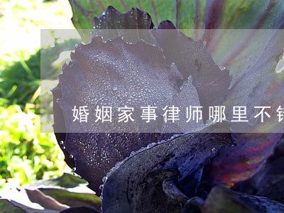 婚姻家事律师哪里不错
