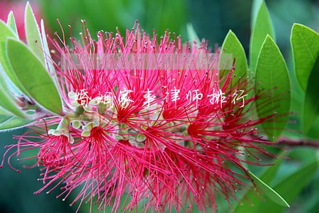 婚姻家事律师排行 婚姻家事律师排行