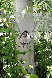 婚姻家事法律师实务 婚姻家事法律师实务