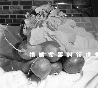 婚姻家事纠纷律师收费 婚姻家事纠纷律师收费