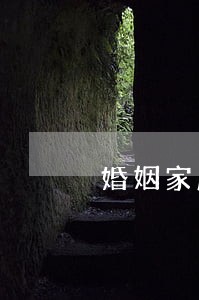 婚姻家庭专职律师诉讼代理 婚姻家庭专职律师诉讼代理