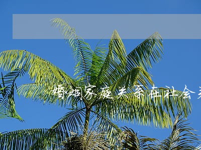 婚姻家庭关系在社会关系 婚姻家庭关系在社会关系
