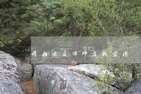 婚姻家庭律师在线咨询 婚姻家庭律师在线咨询