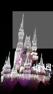婚姻家庭律师在线服务 婚姻家庭律师在线服务