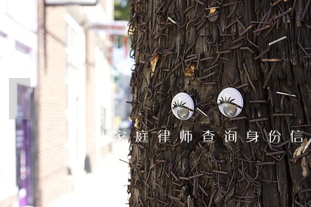 婚姻家庭律师查询身份信息