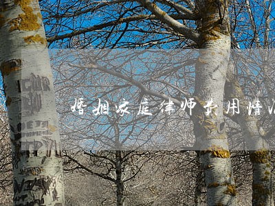 婚姻家庭律师费用情况 婚姻家庭律师费用情况