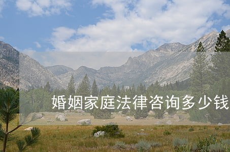 婚姻家庭法律咨询多少钱 婚姻家庭法律咨询多少钱