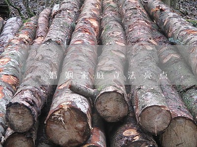 婚姻家庭立法亮点 婚姻家庭立法亮点