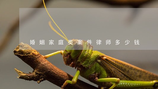婚姻家庭类案件律师多少钱 婚姻家庭类案件律师多少钱