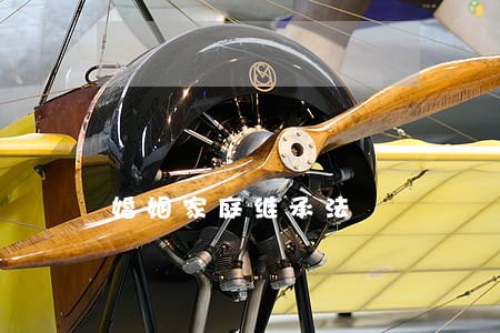 婚姻家庭继承法 婚姻家庭继承法