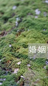 婚姻家庭继承法律师怎么收费 婚姻家庭继承法律师怎么收费