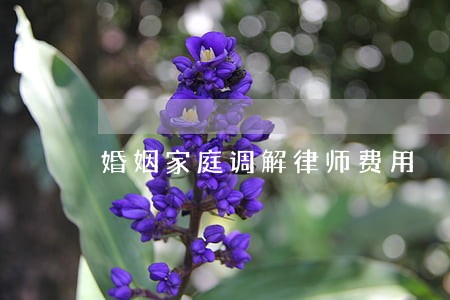 婚姻家庭调解律师费用 婚姻家庭调解律师费用