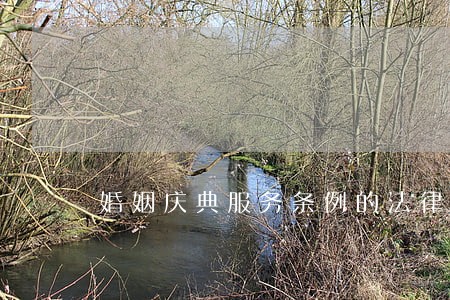 婚姻庆典服务条例的法律文本谁有