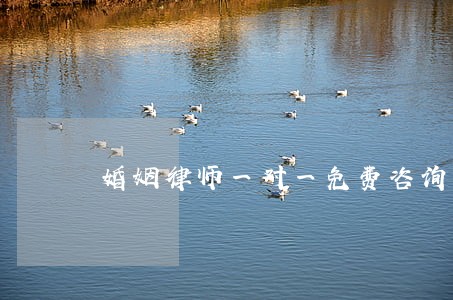 婚姻律师一对一免费咨询 婚姻律师一对一免费咨询