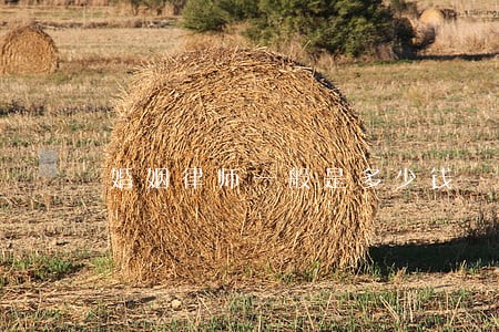 婚姻律师一般是多少钱 婚姻律师一般是多少钱
