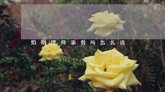 婚姻律师事务所怎么选 婚姻律师事务所怎么选
