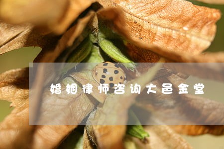 婚姻律师咨询大邑金堂 婚姻律师咨询大邑金堂