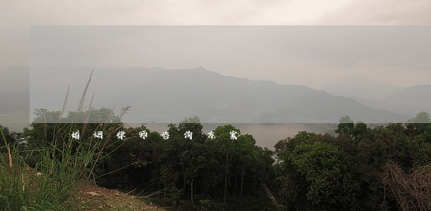 婚姻律师咨询方案 婚姻律师咨询方案