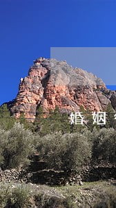 婚姻律师咨询电话崇州 婚姻律师咨询电话崇州