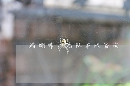 婚姻律师团队在线咨询 婚姻律师团队在线咨询
