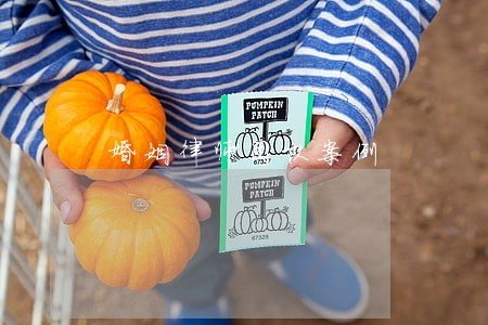 婚姻律师团队案例 婚姻律师团队案例