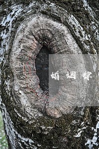 婚姻律师在线咨询北京 婚姻律师在线咨询北京