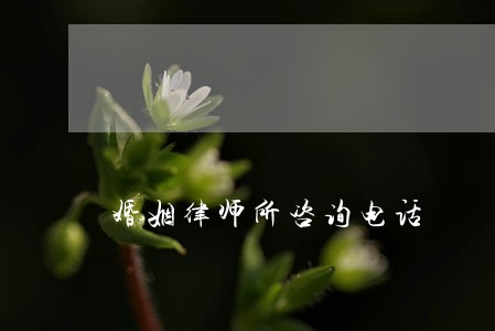 婚姻律师所咨询电话 婚姻律师所咨询电话